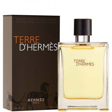 Hermes Terre d'Hermes Eau De Toilette туалетная вода 100 ml. (Гермес Терра Д&rsquo;Гермес) 56267 фото