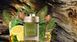 Bvlgari Man Wood Essence парфюмированная вода 100 ml. (Булгари Мен Древесная Эссенция) 55342 фото 5