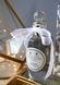 Penhaligon`s Luna туалетна вода 100 ml. (Пенхалігон Луна) 57032 фото 2