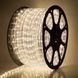 Гирлянда-лента (Rope-Lights) Copper Wire100WW-3 наружная, с прозрачным проводом, 10м (Цвет: Белый-теплый) DP-НФ-00005704 фото 1